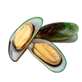 Green Lipped Mussel