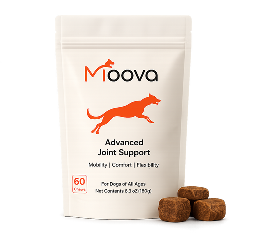 MOOVA Hip & Joint Support Chews